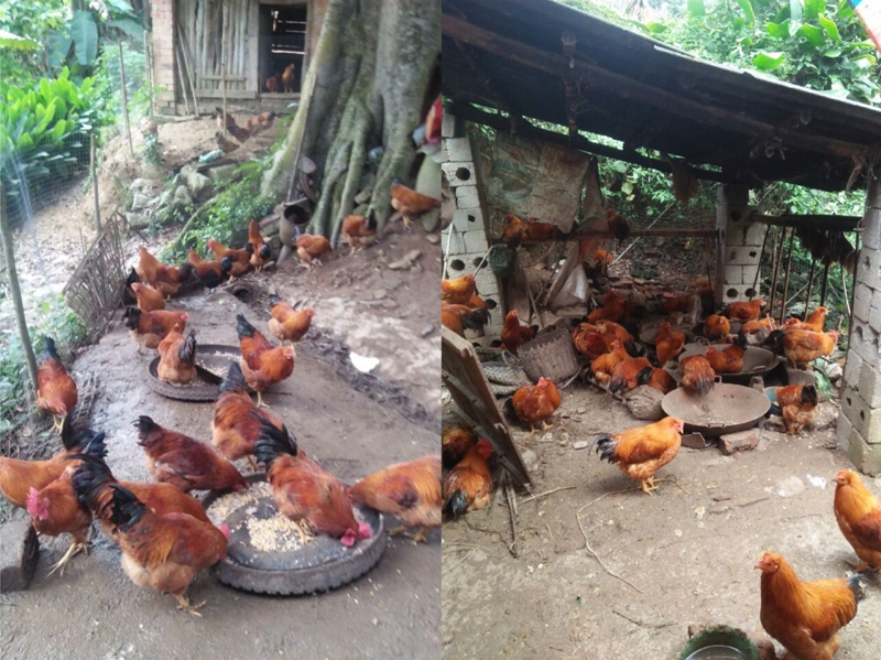 配图3.激发内生动力.jpg