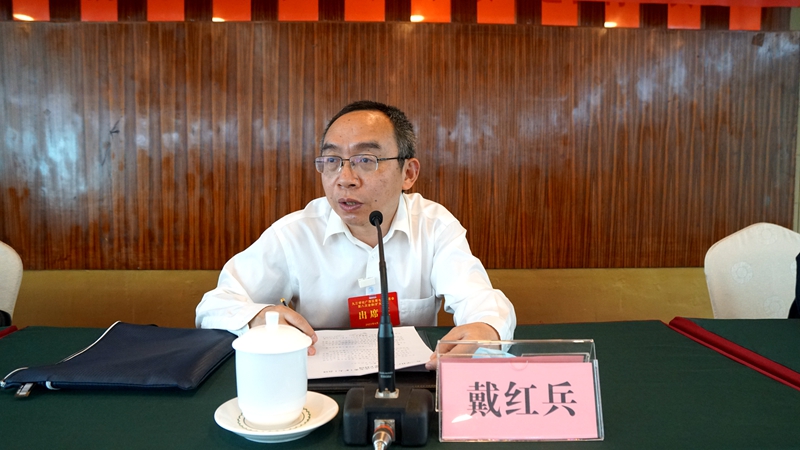 戴红兵.jpg