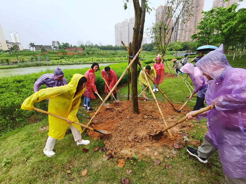 社员冒雨植树_副本.jpg