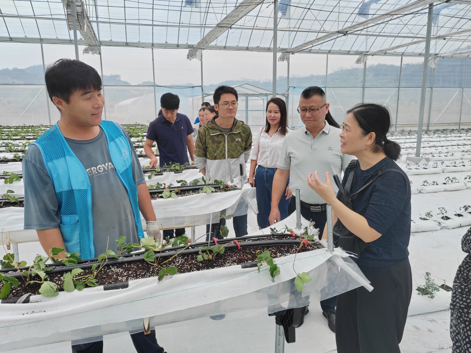 10月18日，九三学社北海市委员会三个基层组织实地参观农业示范区_副本